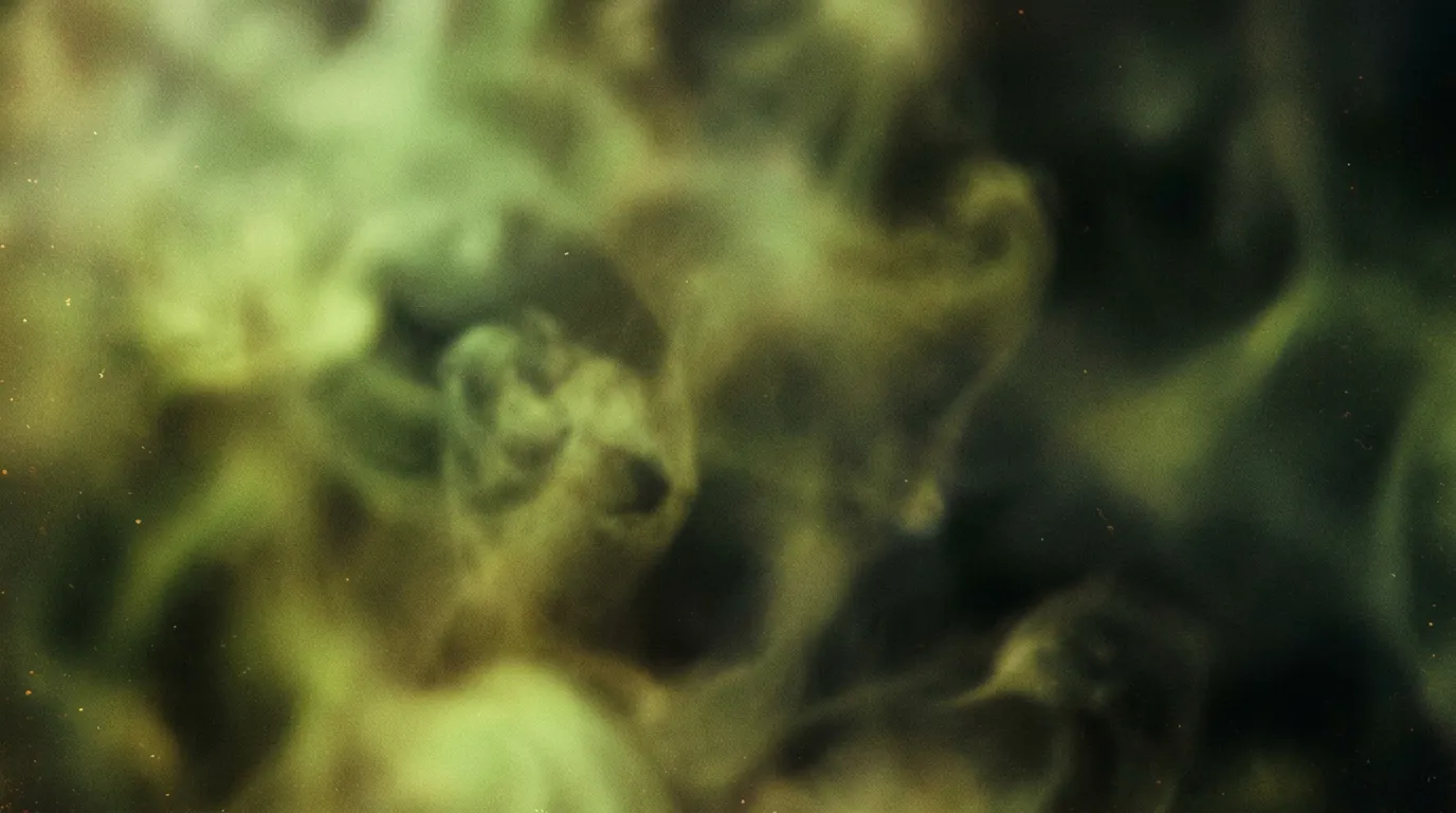 Insurance for GPU Clusters